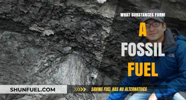 Exploring Fossil Fuel Origins: Key Substances Behind Energy Sources