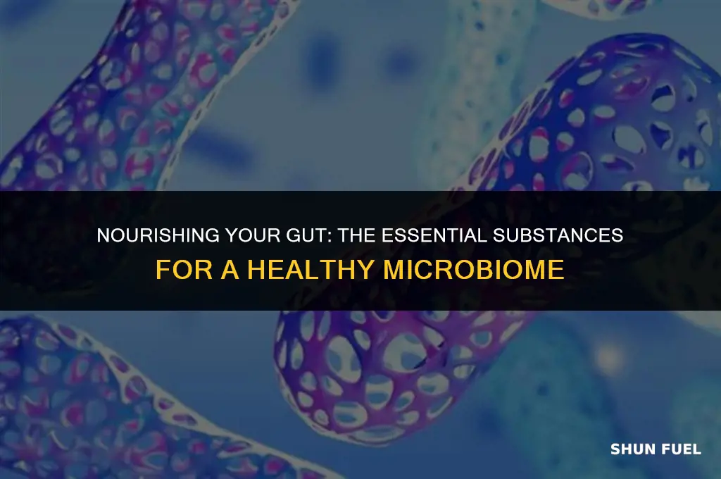 what substances fuel gut flora