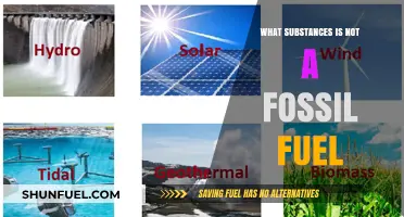 Beyond Fossil Fuels: Exploring Non-Fossil Fuel Energy Sources