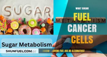 Unveiling the Sweet Deception: How Sugar Fuels Cancer Cells