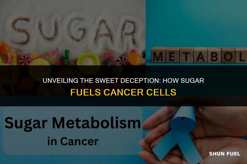 what sugar fuel cancer cells