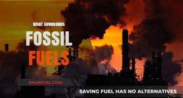 Exploring the Environmental and Geological Context of Fossil Fuels