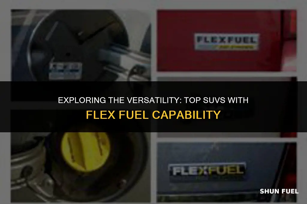 what suv has flex fuel