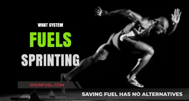 Unleashing Speed: The Science Behind Sprinting Power