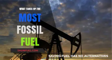 Uncovering the Biggest Fossil Fuel Consumers: Surprising Facts Revealed
