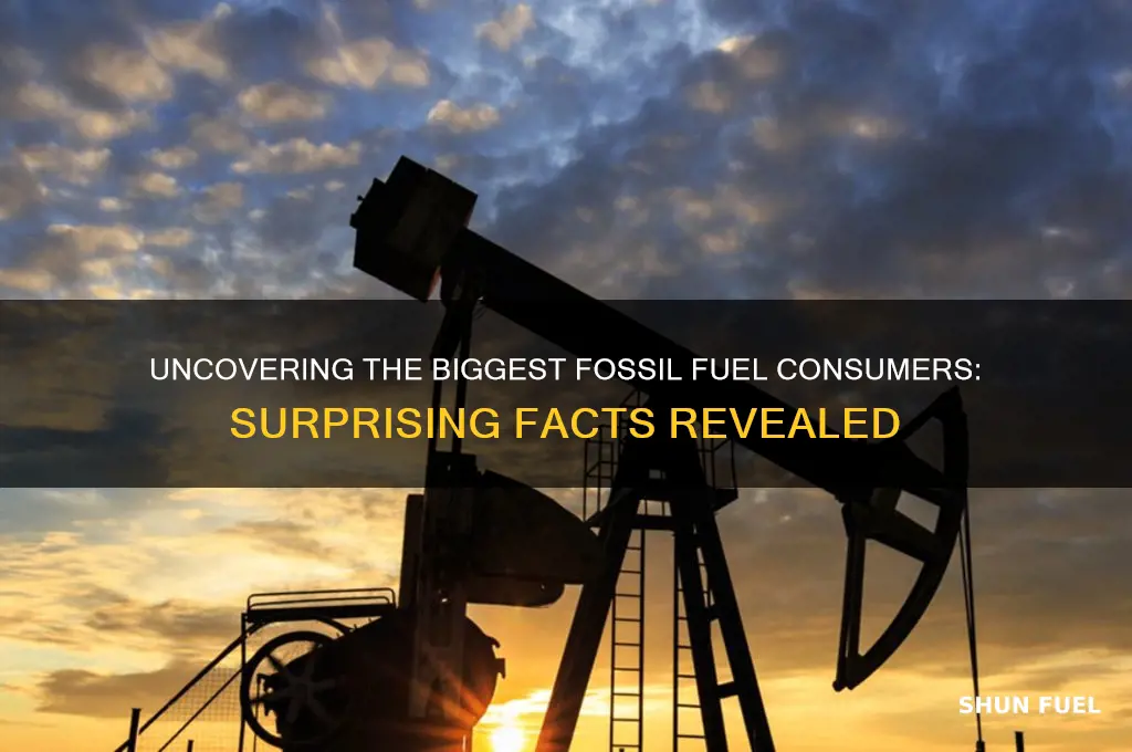 what takes up the most fossil fuel