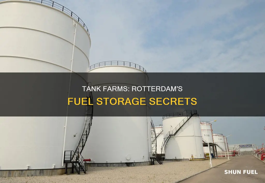 what tank farms store fuel prodiucts in rotterdam