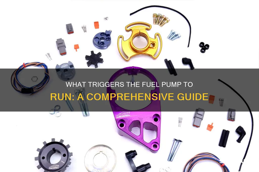 what tell fuel pump to run