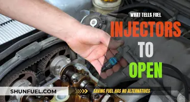 Fuel Injectors: What Triggers Their Opening?