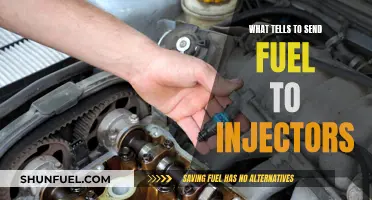 Fuel Injector Activation: What Gives the Green Light?