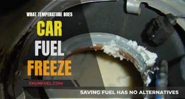 Freezing Fuel: At What Temperature Does It Freeze?
