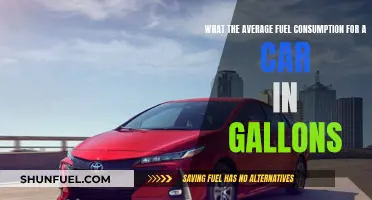 Fuel Efficiency: Average Car Gallon Consumption Explored