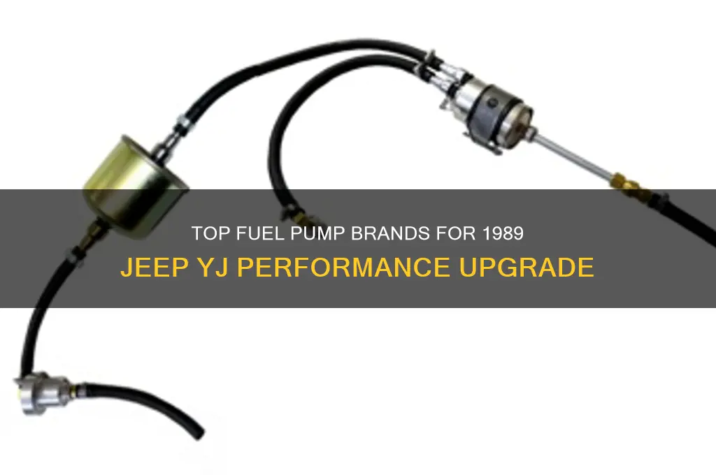what the best brand fuel pump for 89 yj