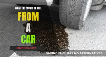 Understanding Car Fuel Loss: Common Causes and Solutions