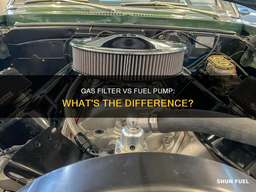 what the difference between gas filter and fuel pump