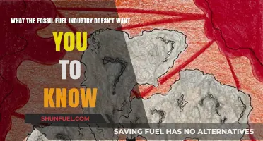 Unveiling the Fossil Fuel Industry's Hidden Secrets and Environmental Impact