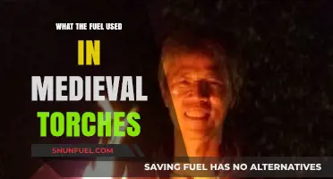 Medieval Torch Fuel: Unveiling the Secrets of Ancient Illumination