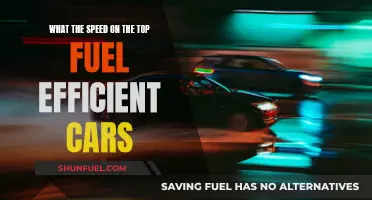Top Fuel-Efficient Cars and Their Impressive Speeds