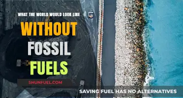 A World Without Fossil Fuels: Imagining a Sustainable Future
