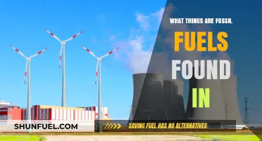 Where Fossil Fuels Hide: Everyday Items Powered by Ancient Energy