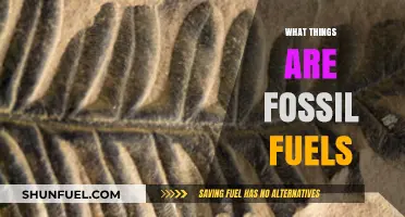 Understanding Fossil Fuels: Origins, Uses, and Environmental Impact