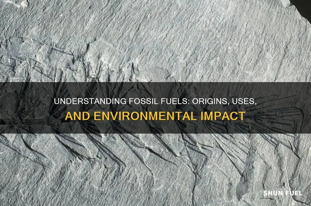 what things are fossil fuels