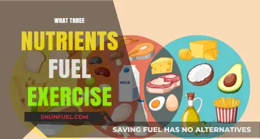 Unlocking Peak Performance: The Essential Trio of Exercise-Fuelling Nutrients