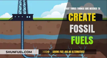 Creating Fossil Fuels: Essential Ingredients for Formation and Energy Production