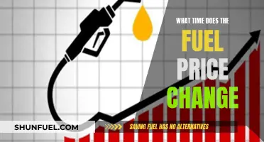 Fuel Price Change: Timing and Its Impact