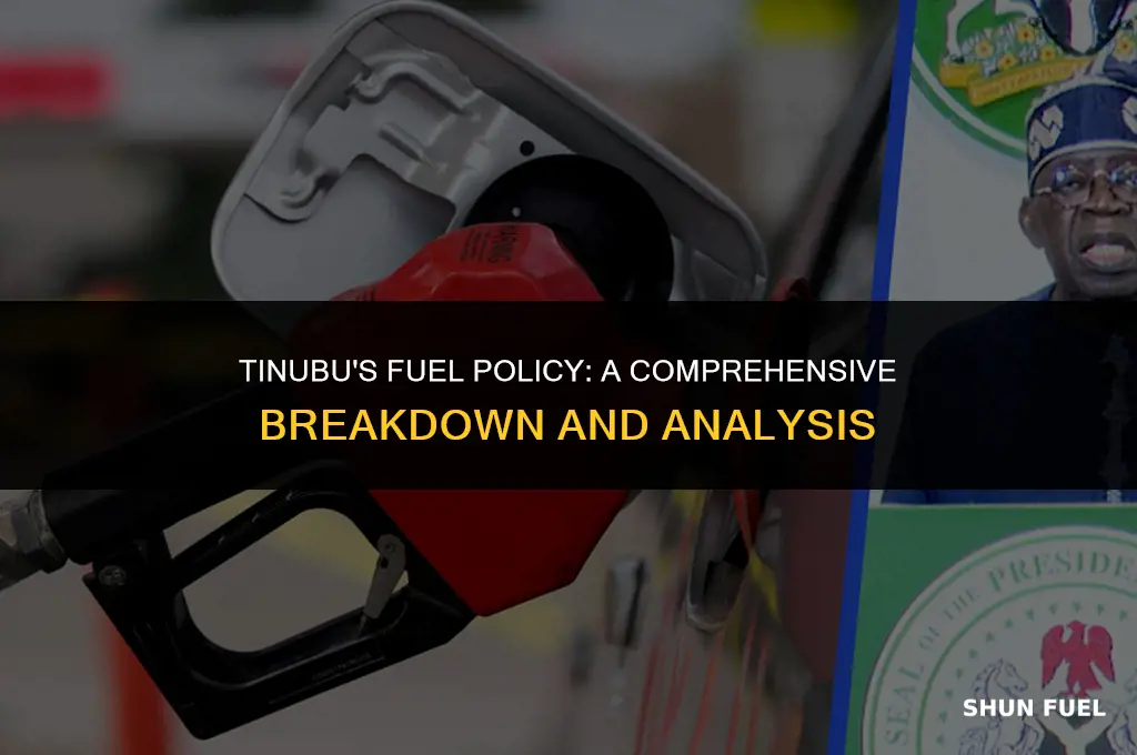 what tinubu said about fuel