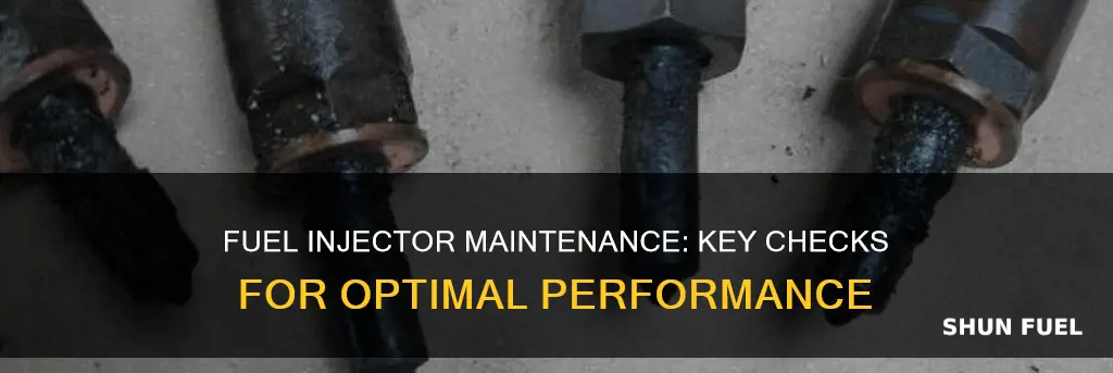 what to check in fuel injector