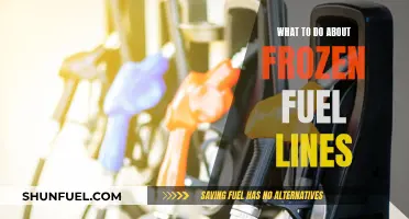 Winter Woes: Dealing with Frozen Fuel Lines