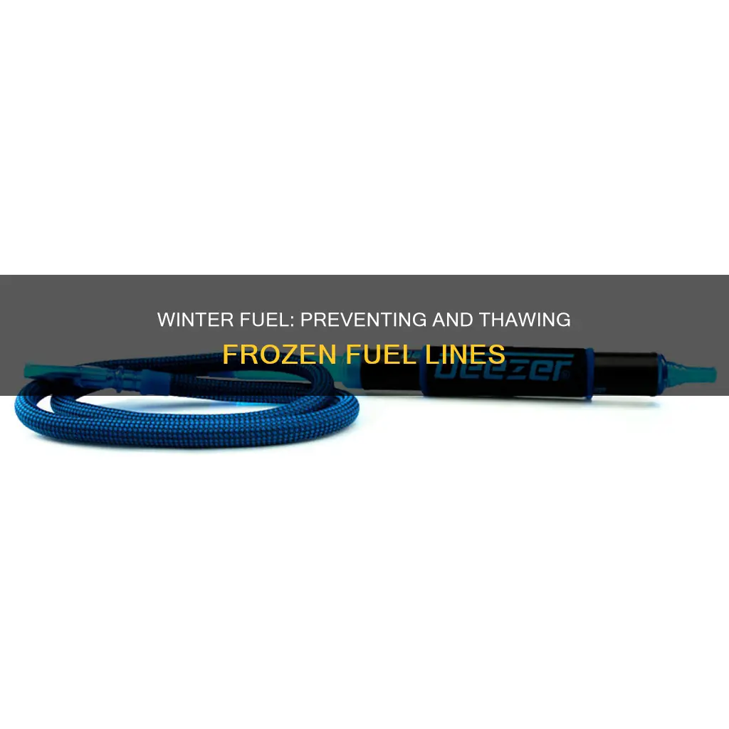 what to do for fuel line freeze up