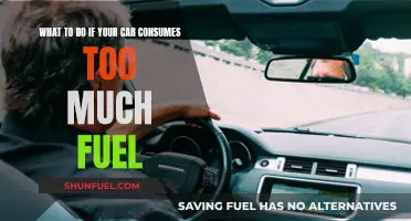 Minimize Fuel Consumption: Tips to Optimize Your Car's Performance