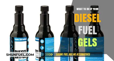 Winter Woes: Dealing with Gelled Diesel Fuel