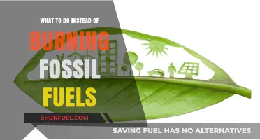Sustainable Alternatives to Fossil Fuels: Clean Energy Solutions for a Greener Future