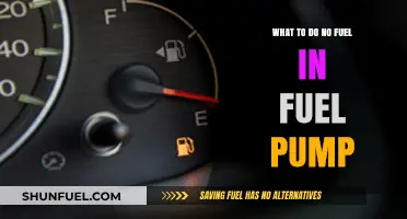 No Fuel in Fuel Pump? Quick Fixes and Troubleshooting Tips