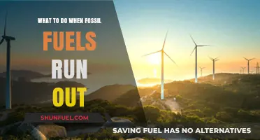 Sustainable Solutions: Preparing for a Post-Fossil Fuel Future