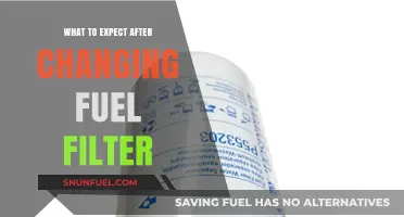 Fuel Filter Change: What's Next?