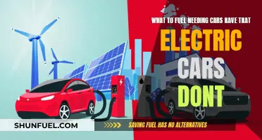 Fuel-Needing Cars: Electric Rivals' Unsung Advantage