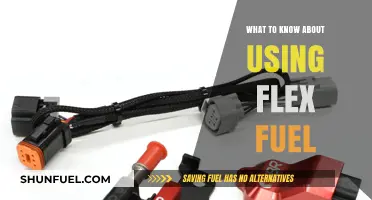Flex Fuel Basics: What You Need to Know Before Filling Up