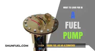 Essential Features to Consider When Choosing the Right Fuel Pump