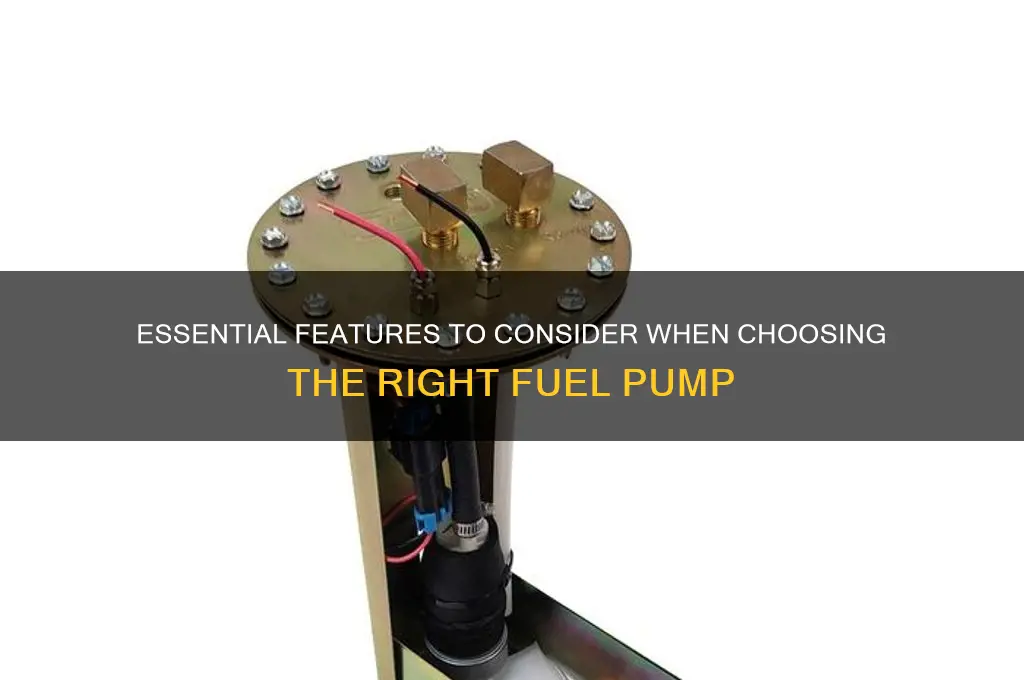 what to look for in a fuel pump
