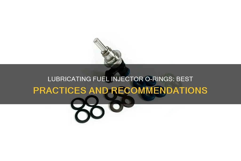 what to lube fuel injector o rings with