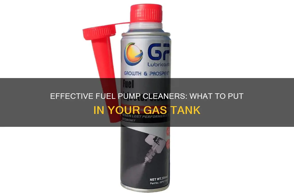 what to put in gas tank to clean fuel pump