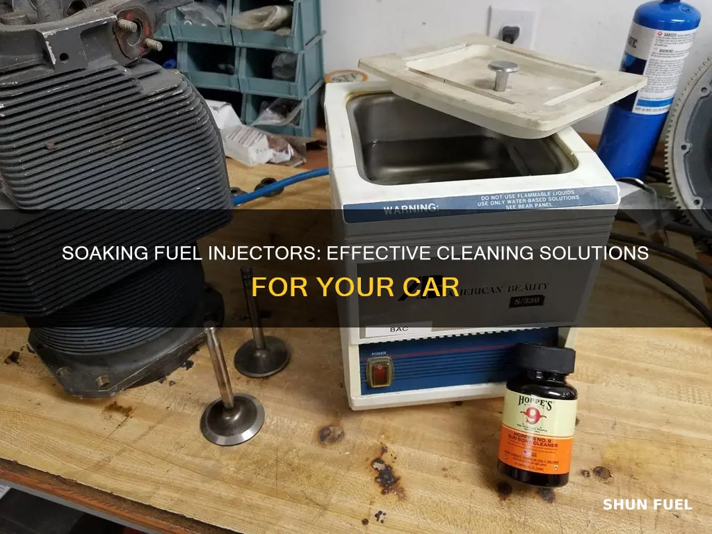 what to soak fuel injectors in