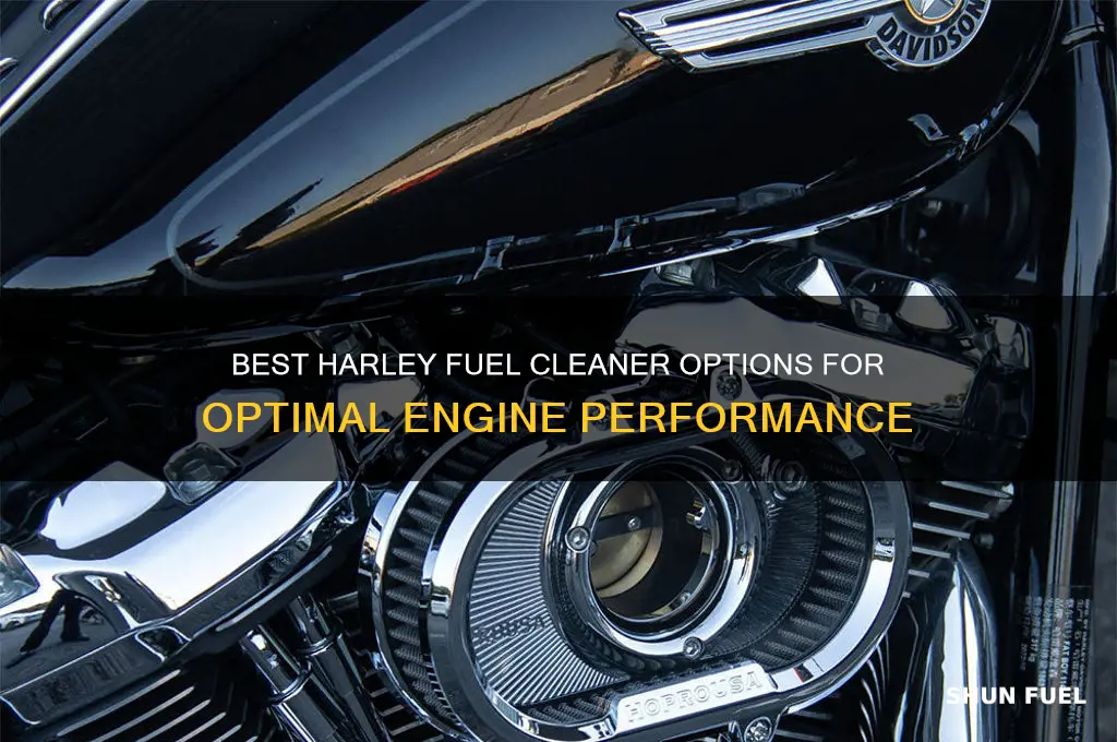 what to use for harley fuel cleaner