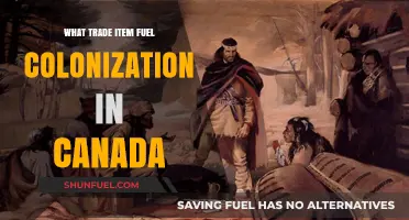 Fur Trade: The Economic Engine Behind Canada's Colonization