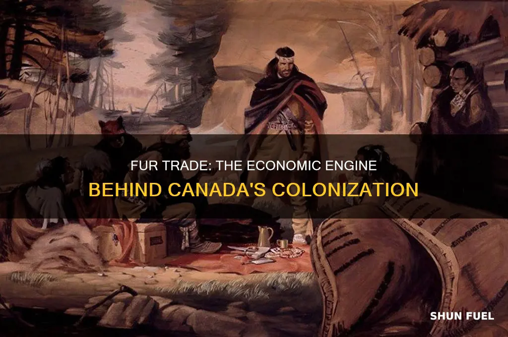 what trade item fuel colonization in canada
