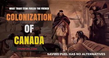 Fur Trade: The Economic Engine Behind French Colonization of Canada